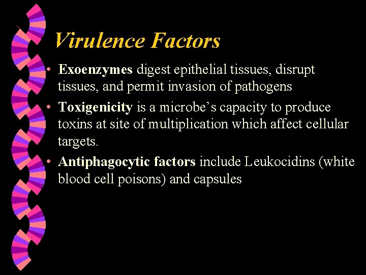 Virulence Factors • Exoenzymes digest epithelial tissues, disrupt tissues, and permit invasion of pathogens