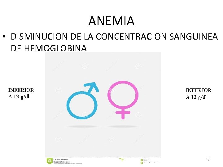 ANEMIA • DISMINUCION DE LA CONCENTRACION SANGUINEA DE HEMOGLOBINA INFERIOR A 13 g/dl INFERIOR
