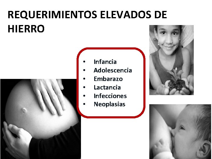 REQUERIMIENTOS ELEVADOS DE HIERRO • • • Infancia Adolescencia Embarazo Lactancia Infecciones Neoplasias 