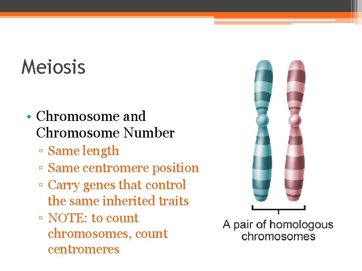 Meiosis • Chromosome and Chromosome Number ▫ Same length ▫ Same centromere position ▫