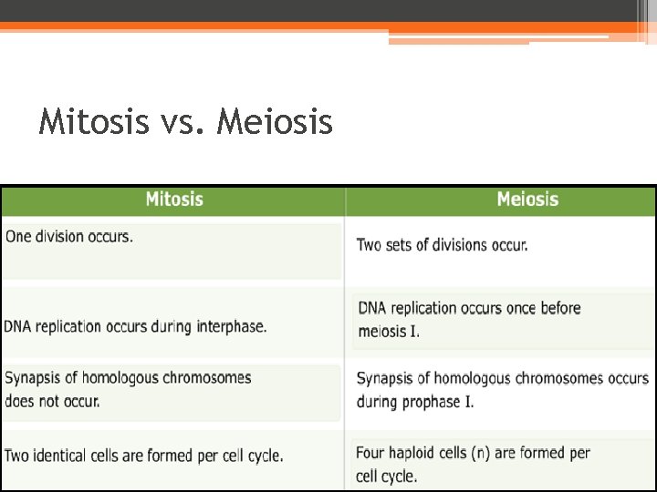 Mitosis vs. Meiosis 