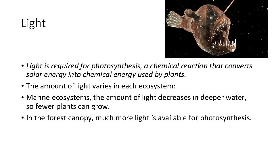 Light • Light is required for photosynthesis, a chemical reaction that converts solar energy