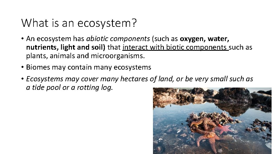 What is an ecosystem? • An ecosystem has abiotic components (such as oxygen, water,