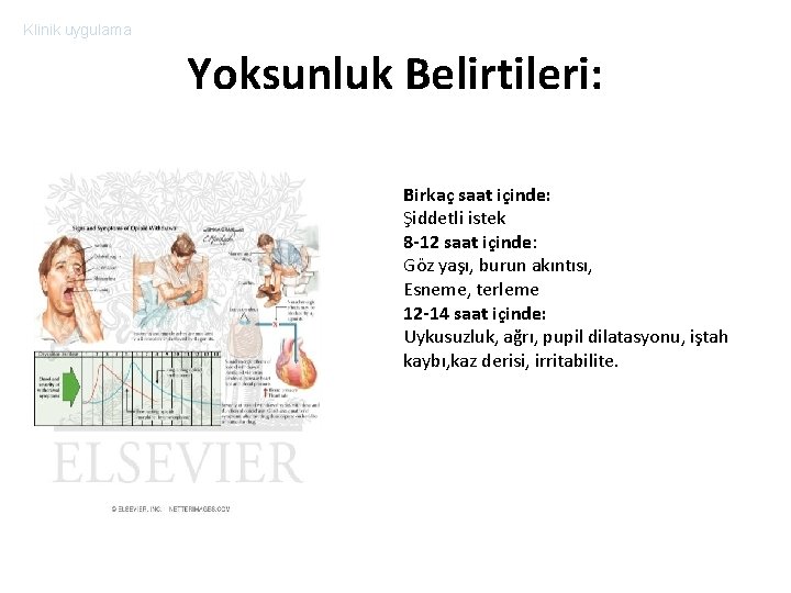 Klinik uygulama Yoksunluk Belirtileri: Birkaç saat içinde: Şiddetli istek 8 -12 saat içinde: Göz