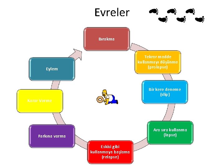 Evreler Bırakma Tekrar madde kullanmayı düşünme (prolapse) Eylem Bir kere deneme (slip) Karar Verme