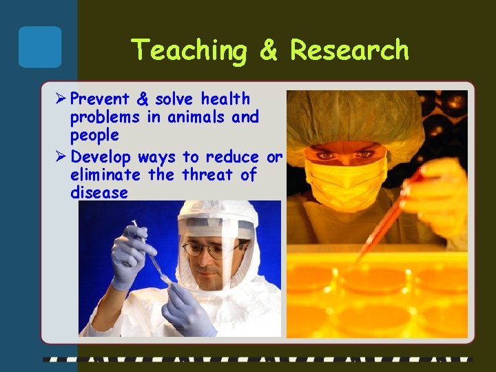 Teaching & Research Ø Prevent & solve health problems in animals and people Ø