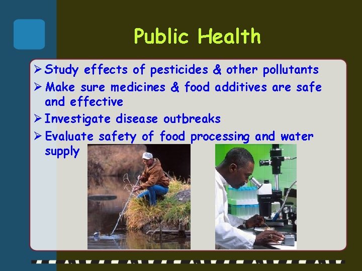 Public Health Ø Study effects of pesticides & other pollutants Ø Make sure medicines