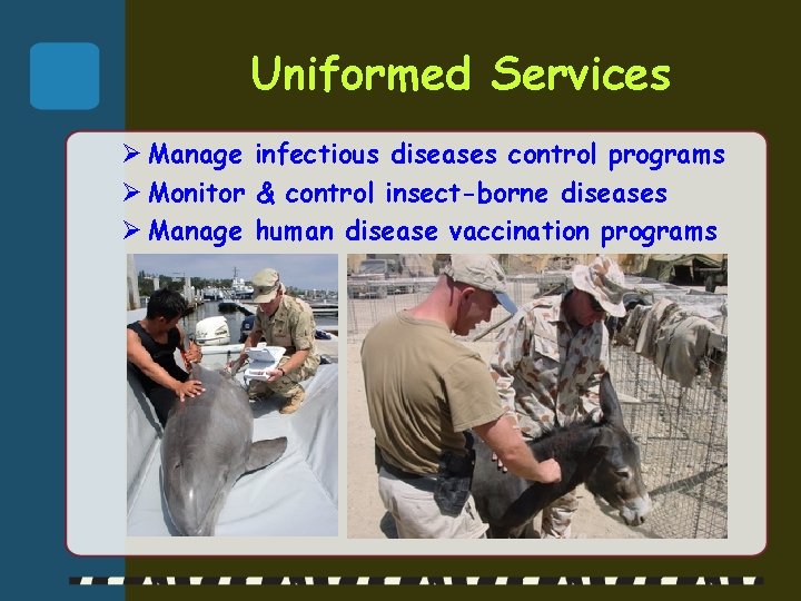 Uniformed Services Ø Manage infectious diseases control programs Ø Monitor & control insect-borne diseases