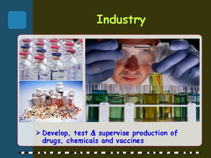 Industry Ø Develop, test & supervise production of drugs, chemicals and vaccines 