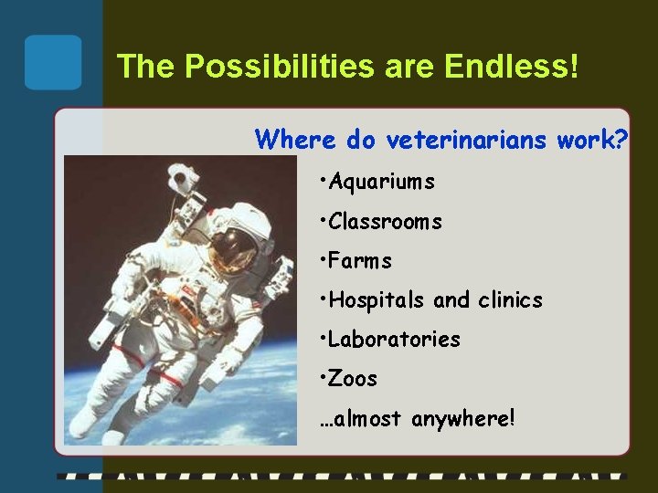 The Possibilities are Endless! Where do veterinarians work? • Aquariums • Classrooms • Farms