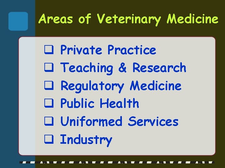 Areas of Veterinary Medicine q q q Private Practice Teaching & Research Regulatory Medicine