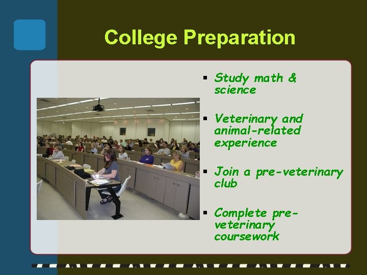 College Preparation § Study math & science § Veterinary and animal-related experience § Join