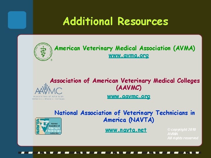 Additional Resources American Veterinary Medical Association (AVMA) www. avma. org Association of American Veterinary