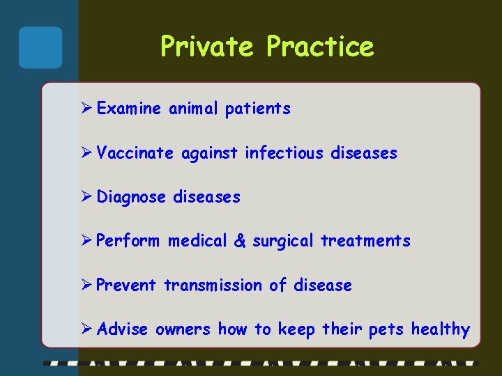 Private Practice Ø Examine animal patients Ø Vaccinate against infectious diseases Ø Diagnose diseases