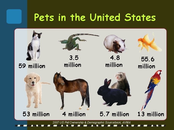 Pets in the United States 59 million 53 million 3. 5 million 4. 8