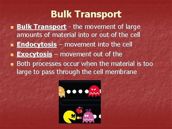 Bulk Transport n n Bulk Transport - the movement of large amounts of material