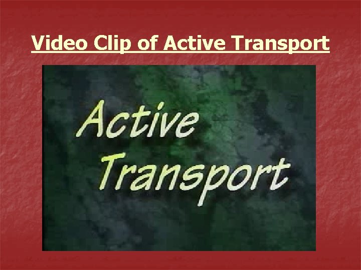 Video Clip of Active Transport 
