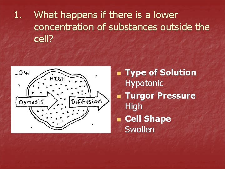 1. What happens if there is a lower concentration of substances outside the cell?