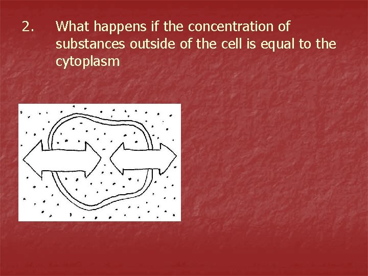 2. What happens if the concentration of substances outside of the cell is equal