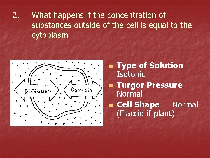 2. What happens if the concentration of substances outside of the cell is equal