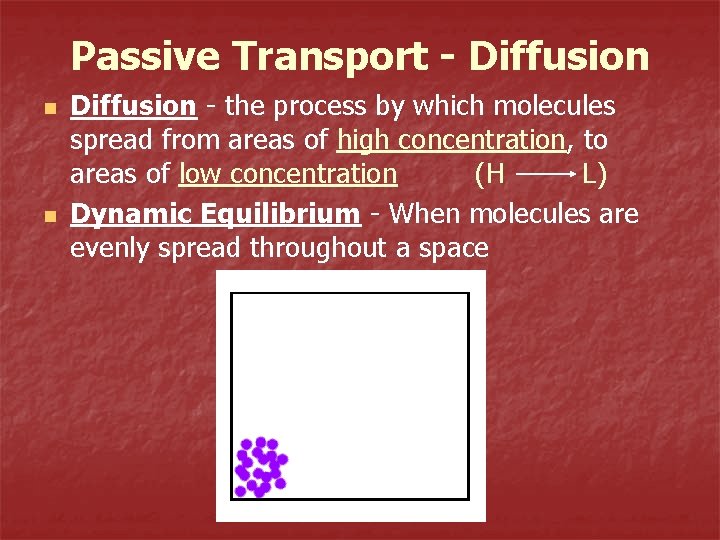 Passive Transport - Diffusion n n Diffusion - the process by which molecules spread