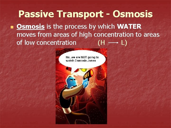 Passive Transport - Osmosis n Osmosis is the process by which WATER moves from