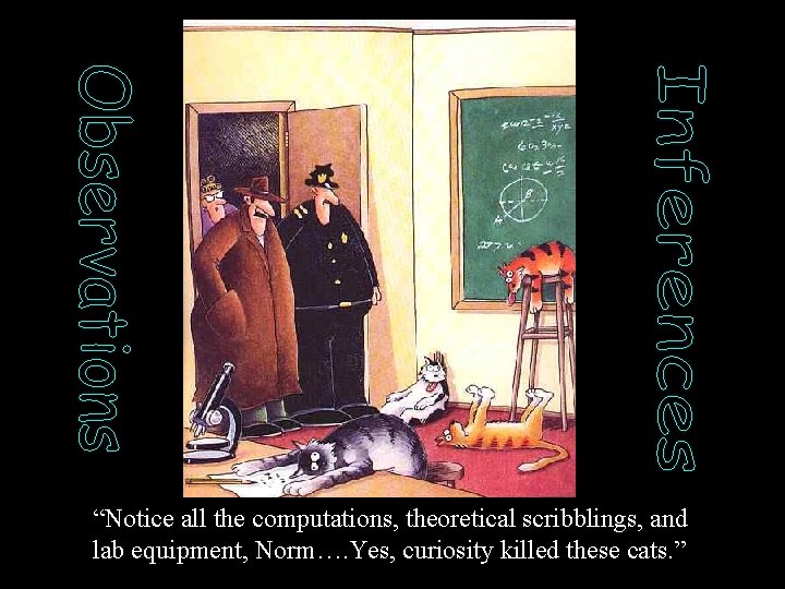 “Notice all the computations, theoretical scribblings, and lab equipment, Norm…. Yes, curiosity killed these