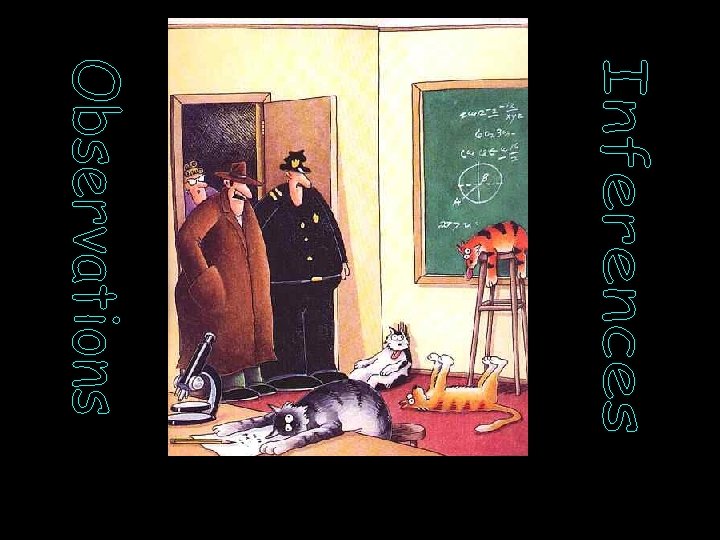 “Notice all the computations, theoretical scribblings, and lab equipment, Norm…. Yes, curiosity killed these