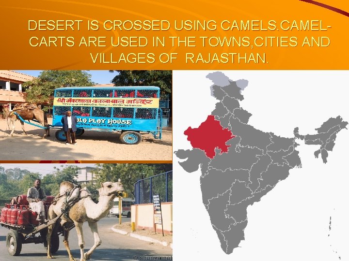 DESERT IS CROSSED USING CAMELS. CAMELCARTS ARE USED IN THE TOWNS, CITIES AND VILLAGES