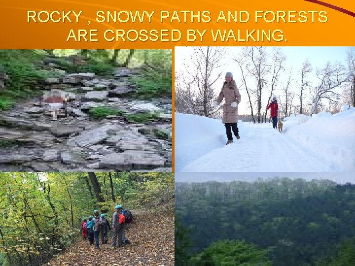 ROCKY , SNOWY PATHS AND FORESTS ARE CROSSED BY WALKING. 