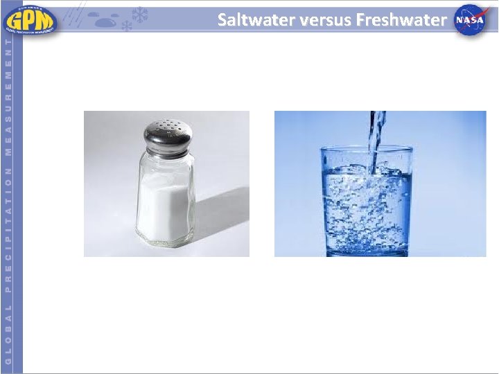 Saltwater versus Freshwater 