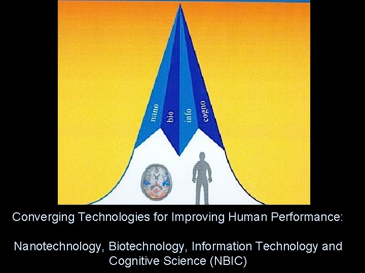 Converging Technologies for Improving Human Performance: Nanotechnology, Biotechnology, Information Technology and Cognitive Science (NBIC)