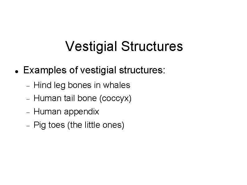 Vestigial Structures Examples of vestigial structures: Hind leg bones in whales Human tail bone
