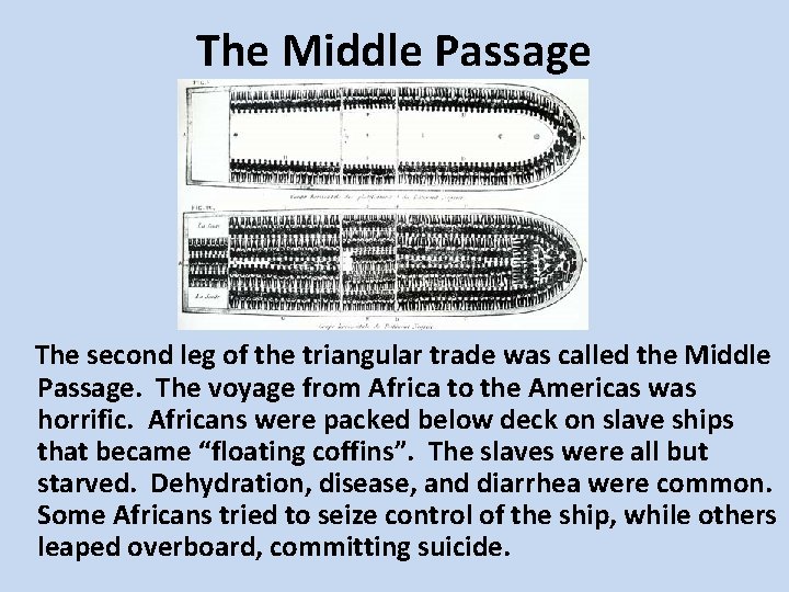 The Middle Passage The second leg of the triangular trade was called the Middle