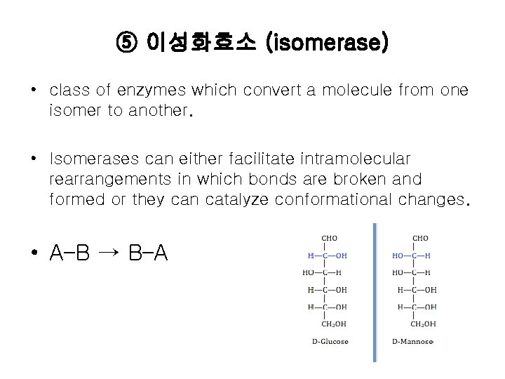 ⑤ 이성화효소 (isomerase) • class of enzymes which convert a molecule from one isomer