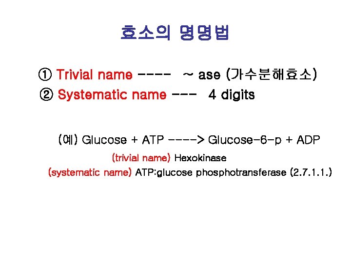 효소의 명명법 ① Trivial name ---- ~ ase (가수분해효소) ② Systematic name --- 4