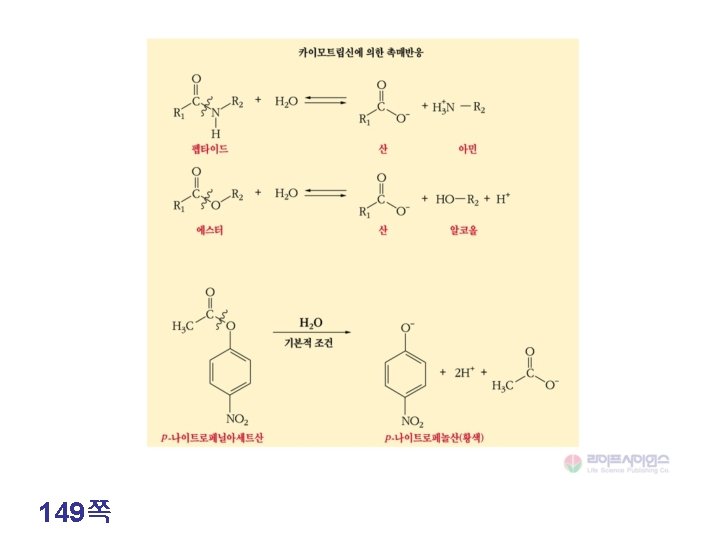 149쪽 