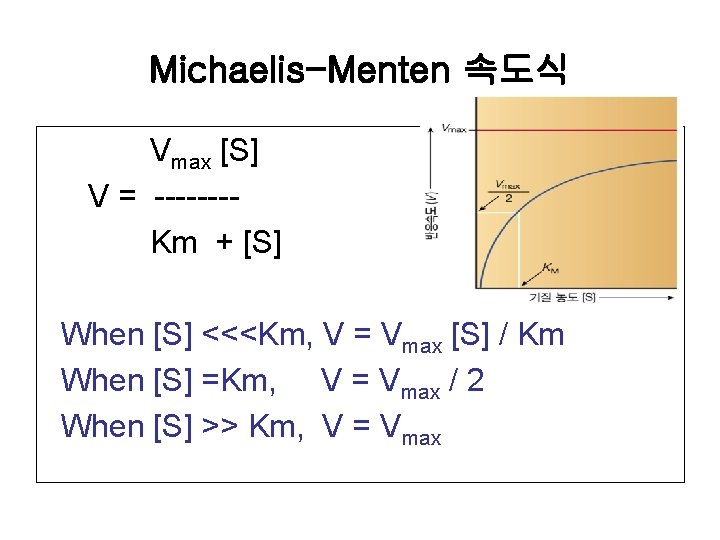Michaelis-Menten 속도식 Vmax [S] V = -------Km + [S] When [S] <<<Km, V =
