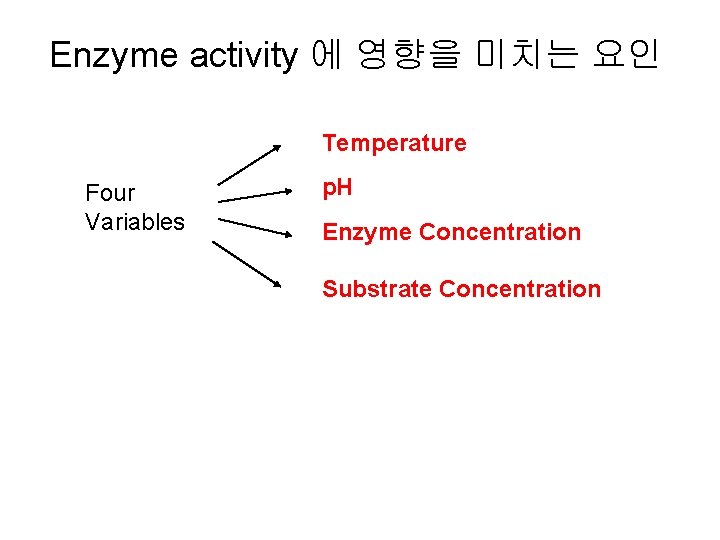 Enzyme activity 에 영향을 미치는 요인 Temperature Four Variables p. H Enzyme Concentration Substrate
