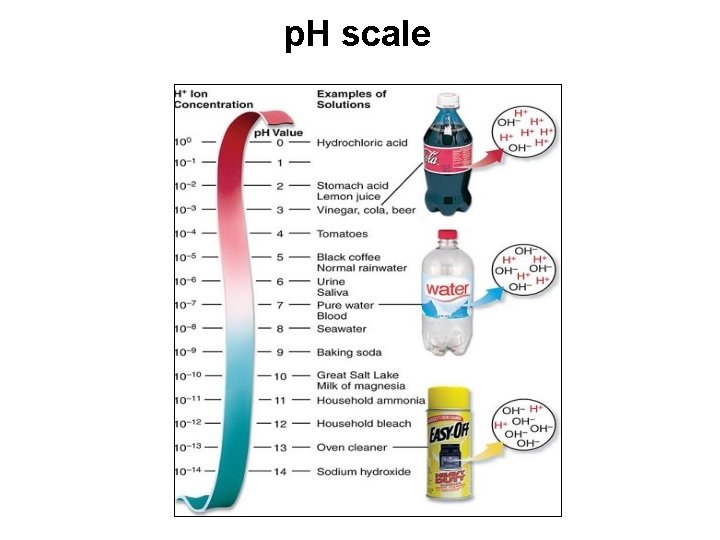 p. H scale 