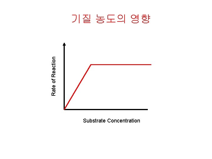 Rate of Reaction 기질 농도의 영향 Substrate Concentration 