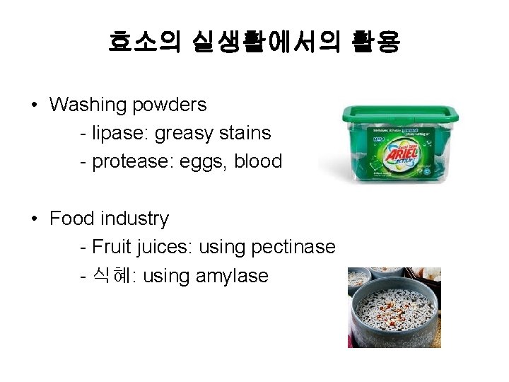 효소의 실생활에서의 활용 • Washing powders - lipase: greasy stains - protease: eggs, blood