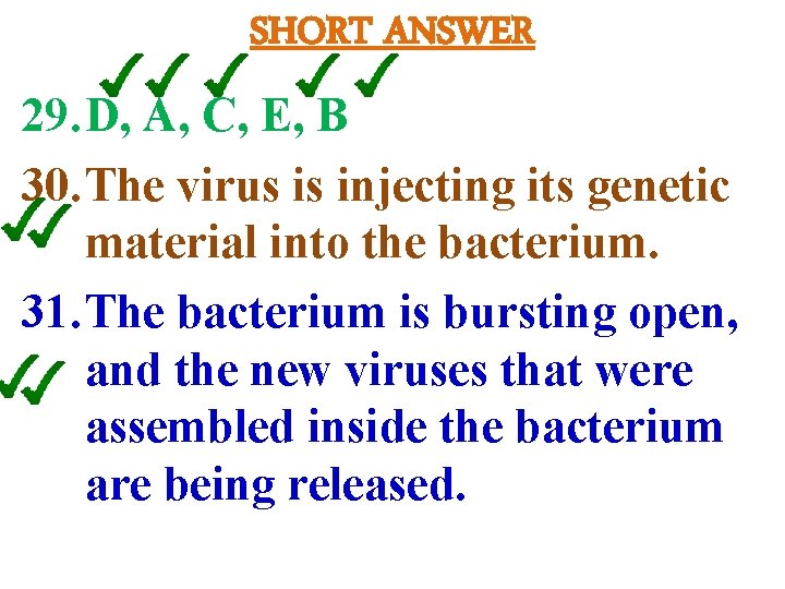 SHORT ANSWER 29. D, A, C, E, B 30. The virus is injecting its