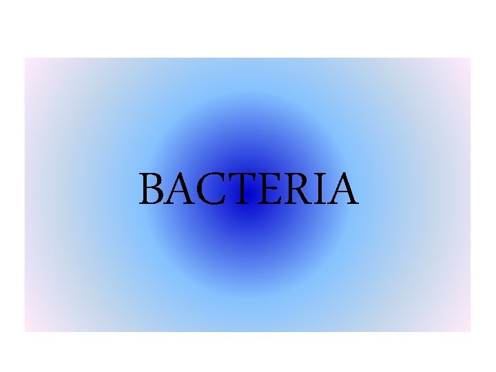 BACTERIA 