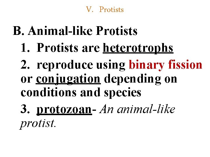 V. Protists B. Animal-like Protists 1. Protists are heterotrophs 2. reproduce using binary fission