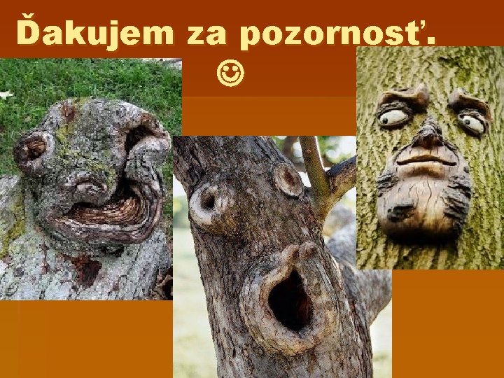 Ďakujem za pozornosť. 