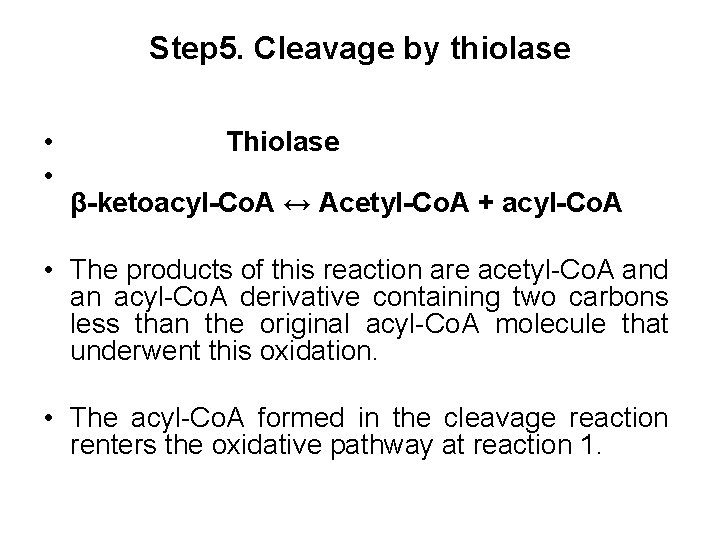 Step 5. Cleavage by thiolase • • Thiolase β-ketoacyl-Co. A ↔ Acetyl-Co. A +