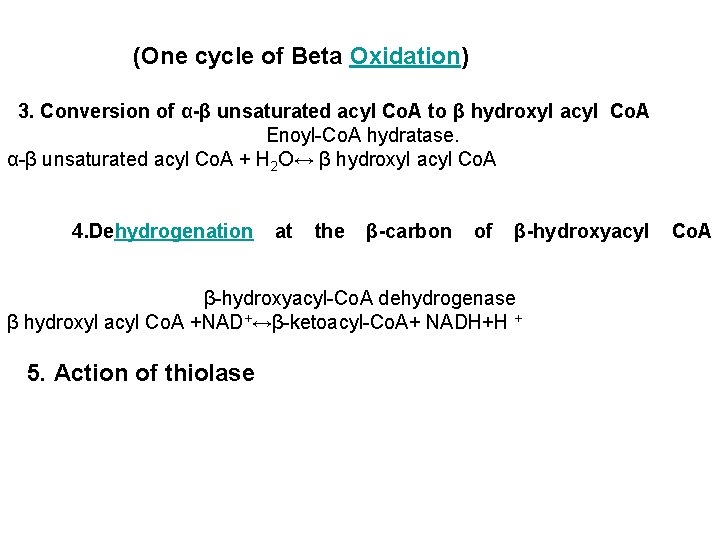 (One cycle of Beta Oxidation) 3. Conversion of α-β unsaturated acyl Co. A to