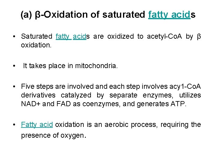 (a) β-Oxidation of saturated fatty acids • Saturated fatty acids are oxidized to acetyl-Co.