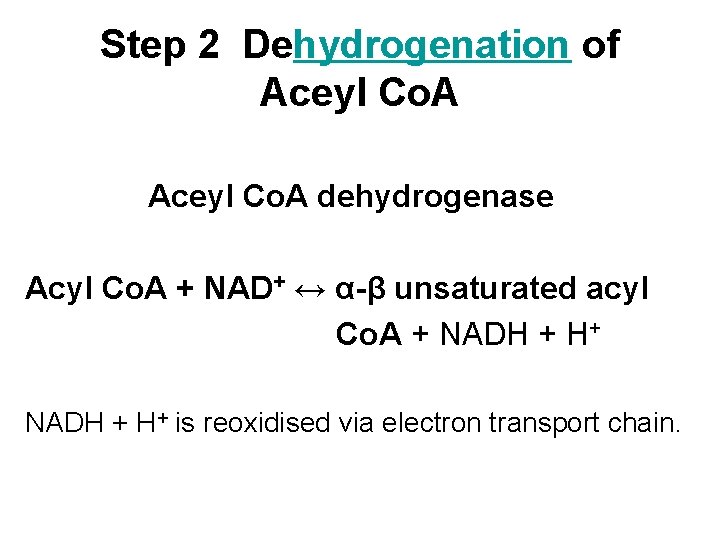 Step 2 Dehydrogenation of Aceyl Co. A dehydrogenase Acyl Co. A + NAD+ ↔
